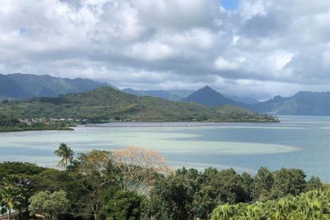 Poha Kea Point 3(unit#3441)