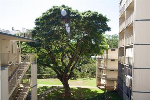 Waikalani Woodlands(unit#A403)